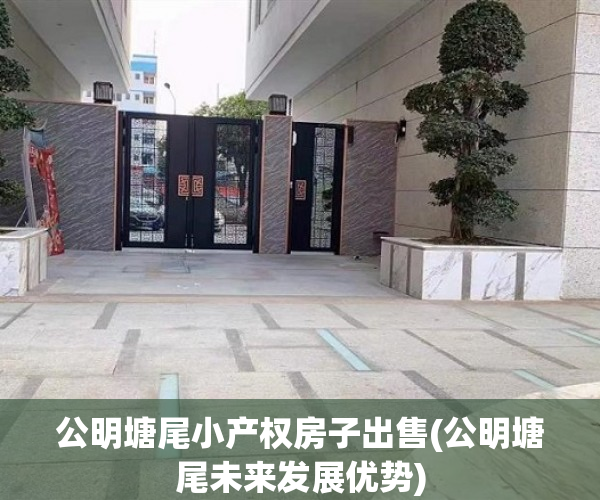 公明塘尾小产权房子出售(公明塘尾未来发展优势)