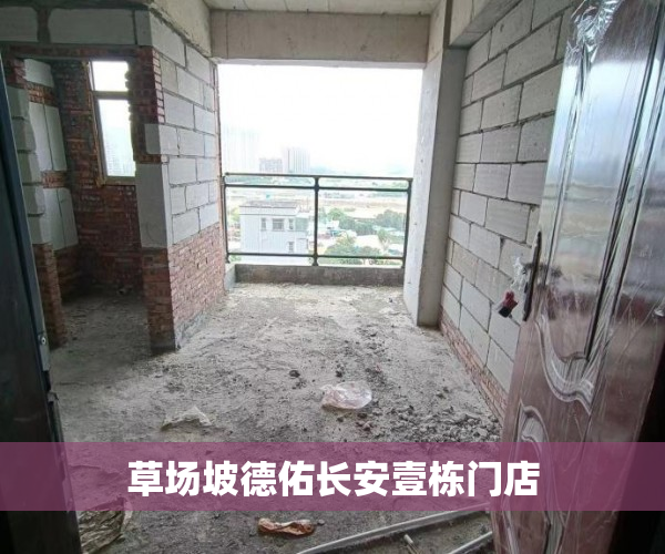 草场坡德佑长安壹栋门店