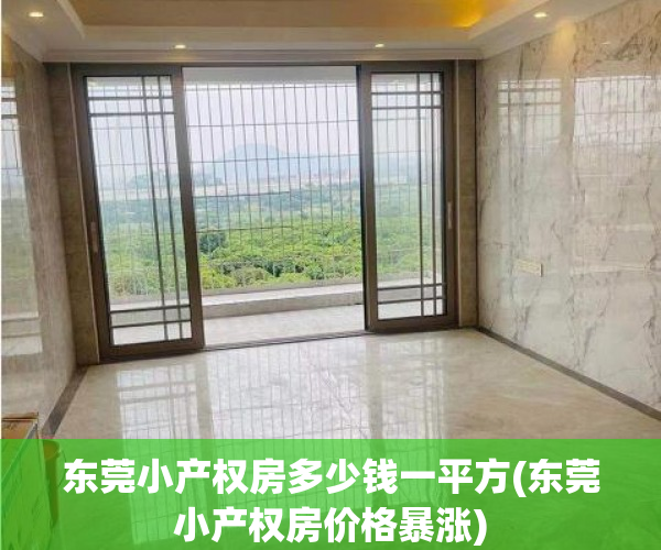 东莞小产权房多少钱一平方(东莞小产权房价格暴涨) 东莞小产权房多少钱一平方(东莞小产权房价格暴涨)