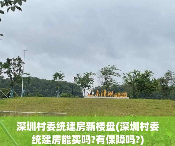 深圳村委统建房新楼盘(深圳村委统建房能买吗?有保障吗?)