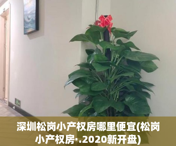 深圳松岗小产权房哪里便宜(松岗小产权房·.2020新开盘)