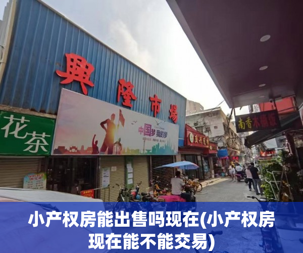 小产权房能出售吗现在(小产权房现在能不能交易) 小产权房能出售吗现在(小产权房现在能不能交易)