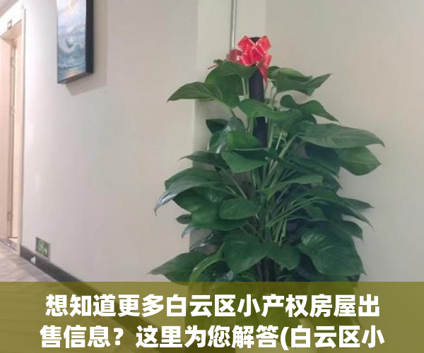 想知道更多白云区小产权房屋出售信息？这里为您解答(白云区小产权房政策)