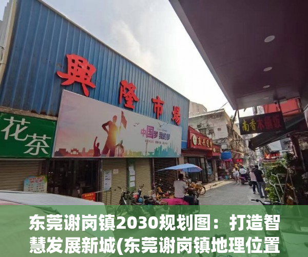东莞谢岗镇2030规划图：打造智慧发展新城(东莞谢岗镇地理位置)