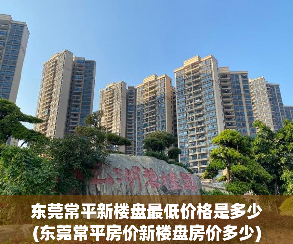 东莞常平新楼盘最低价格是多少(东莞常平房价新楼盘房价多少)