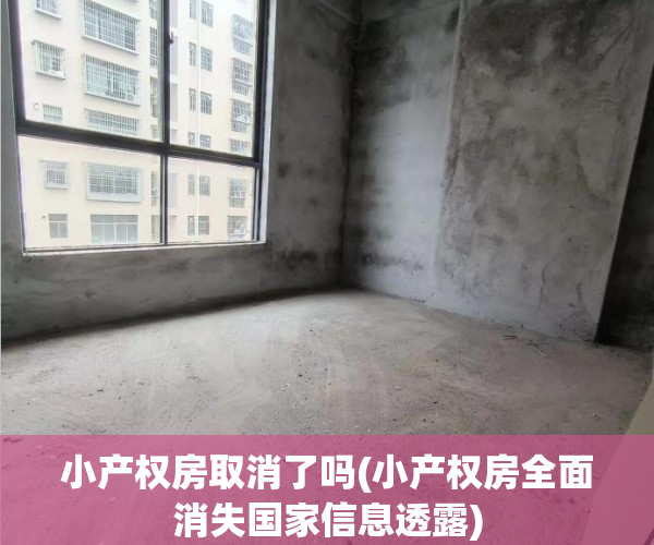 小产权房取消了吗(小产权房全面消失国家信息透露)