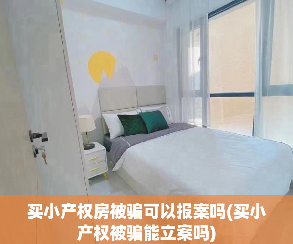 买小产权房被骗可以报案吗(买小产权被骗能立案吗)