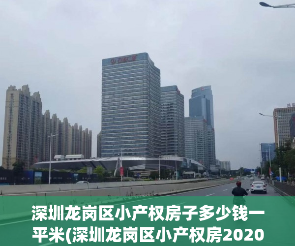 深圳龙岗区小产权房子多少钱一平米(深圳龙岗区小产权房2020新盘)