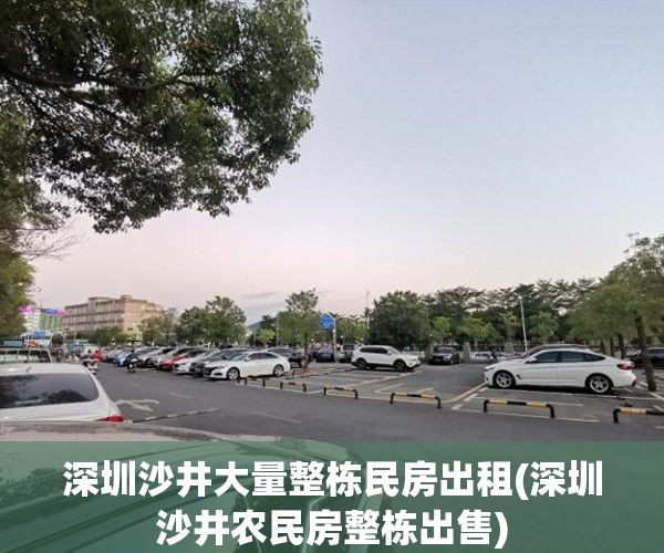 深圳沙井大量整栋民房出租(深圳沙井农民房整栋出售)