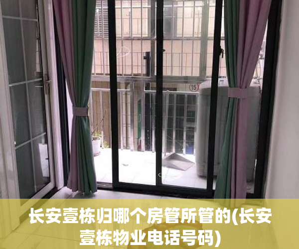 长安壹栋归哪个房管所管的(长安壹栋物业电话号码)