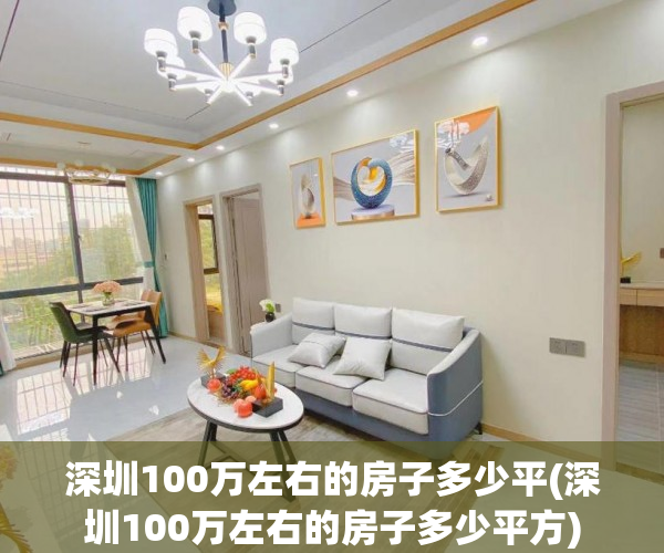 深圳100万左右的房子多少平(深圳100万左右的房子多少平方)