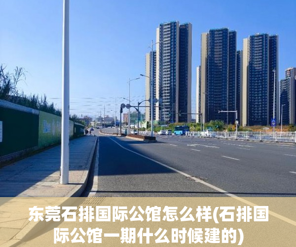 东莞石排国际公馆怎么样(石排国际公馆一期什么时候建的)