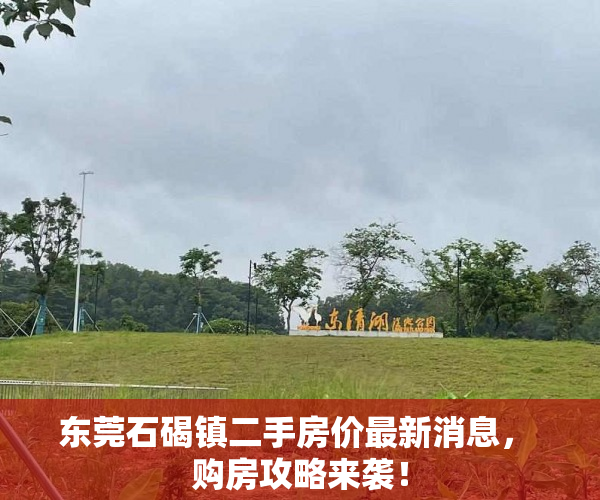 东莞石碣镇二手房价最新消息， 购房攻略来袭！