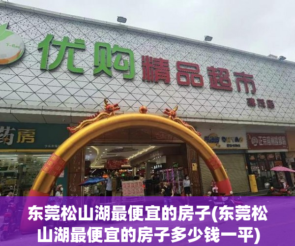 东莞松山湖最便宜的房子(东莞松山湖最便宜的房子多少钱一平) 东莞松山湖最便宜的房子(东莞松山湖最便宜的房子多少钱一平)