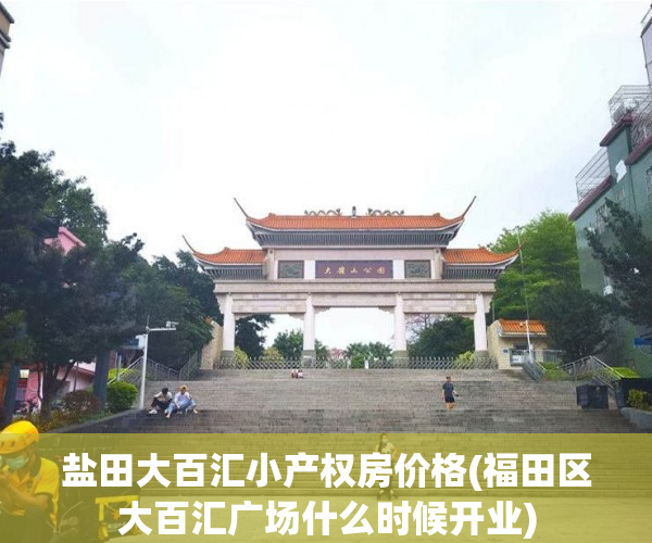 盐田大百汇小产权房价格(福田区大百汇广场什么时候开业) 盐田大百汇小产权房价格(福田区大百汇广场什么时候开业)
