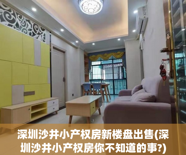 深圳沙井小产权房新楼盘出售(深圳沙井小产权房你不知道的事?)