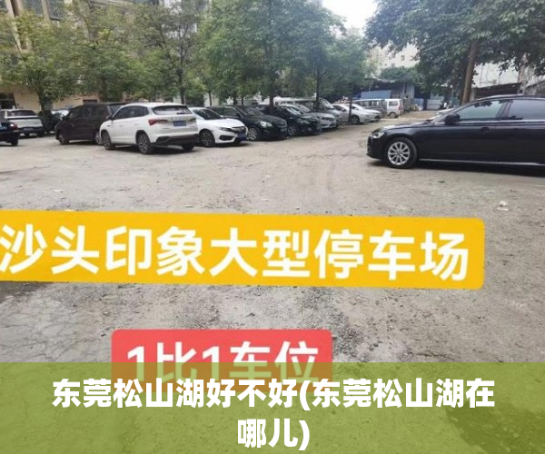 东莞松山湖好不好(东莞松山湖在哪儿)