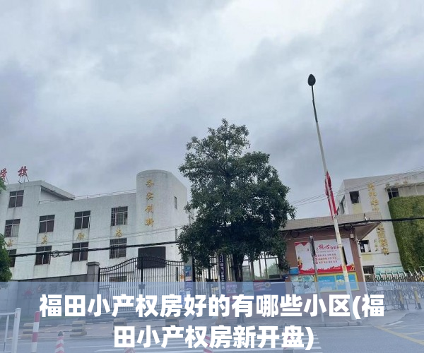 福田小产权房好的有哪些小区(福田小产权房新开盘) 福田小产权房好的有哪些小区(福田小产权房新开盘)
