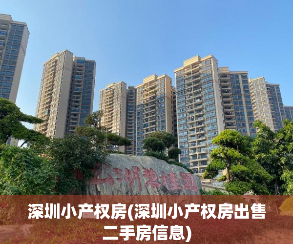 深圳小产权房(深圳小产权房出售二手房信息)