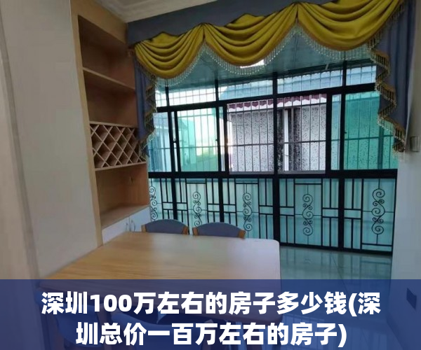 深圳100万左右的房子多少钱(深圳总价一百万左右的房子)
