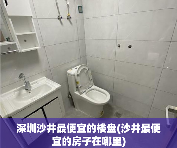 深圳沙井最便宜的楼盘(沙井最便宜的房子在哪里)