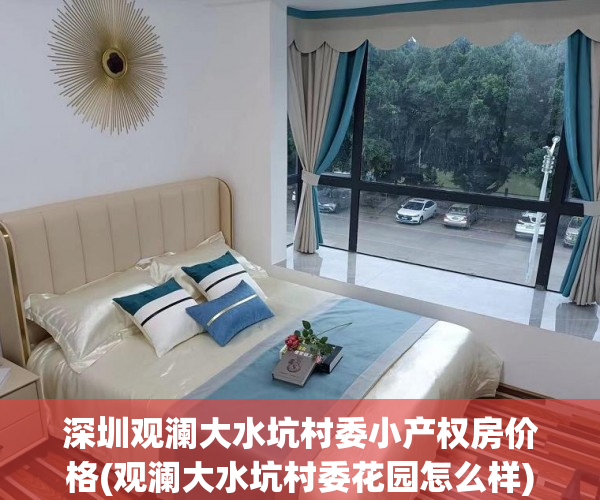 深圳观澜大水坑村委小产权房价格(观澜大水坑村委花园怎么样)