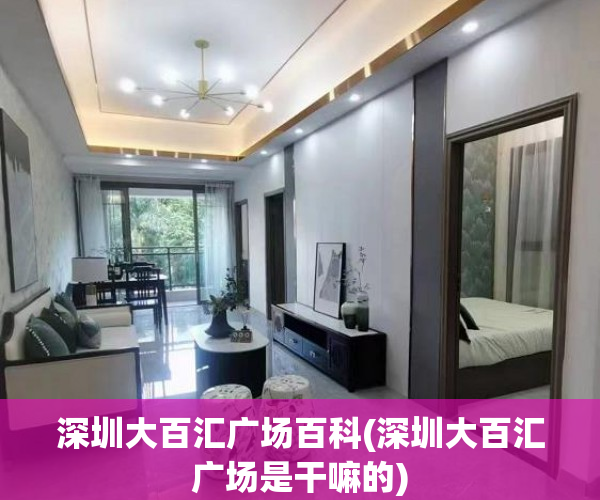 深圳大百汇广场百科(深圳大百汇广场是干嘛的)
