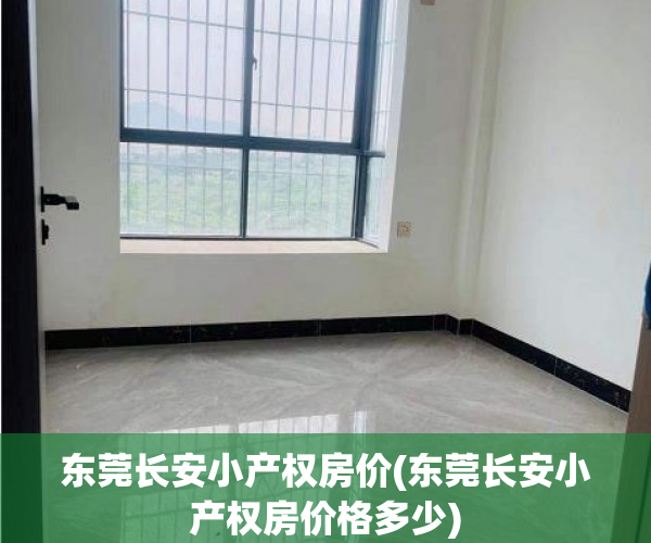 东莞长安小产权房价(东莞长安小产权房价格多少)