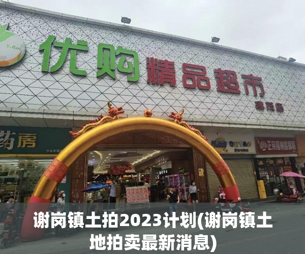 谢岗镇土拍2023计划(谢岗镇土地拍卖最新消息) 谢岗镇土拍2023计划(谢岗镇土地拍卖最新消息)
