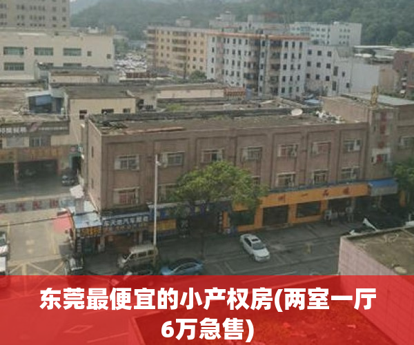 东莞最便宜的小产权房(两室一厅6万急售)