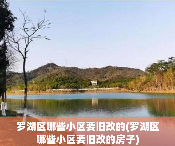 罗湖区哪些小区要旧改的(罗湖区哪些小区要旧改的房子)
