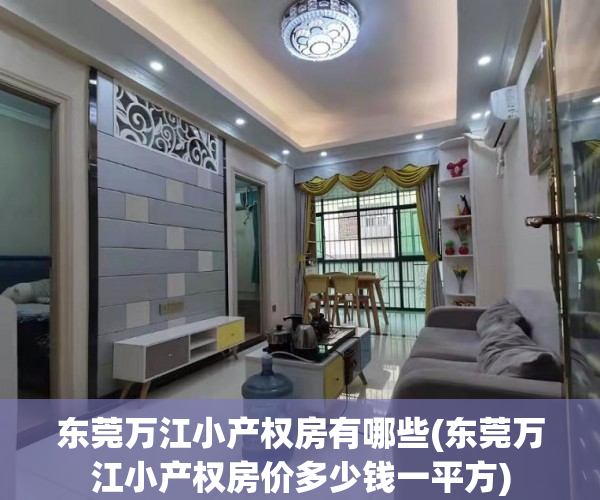 东莞万江小产权房有哪些(东莞万江小产权房价多少钱一平方)
