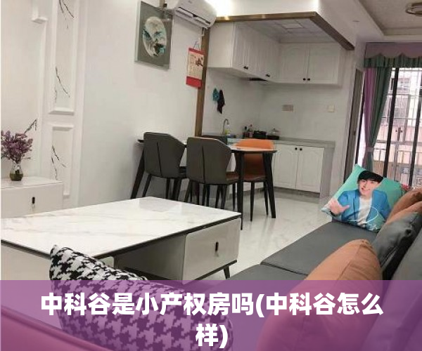 中科谷是小产权房吗(中科谷怎么样) 中科谷是小产权房吗(中科谷怎么样)