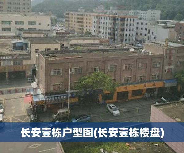 长安壹栋户型图(长安壹栋楼盘)