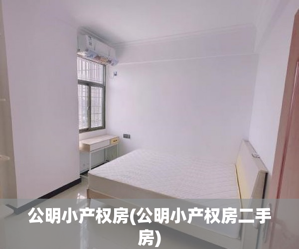 公明小产权房(公明小产权房二手房) 公明小产权房(公明小产权房二手房)