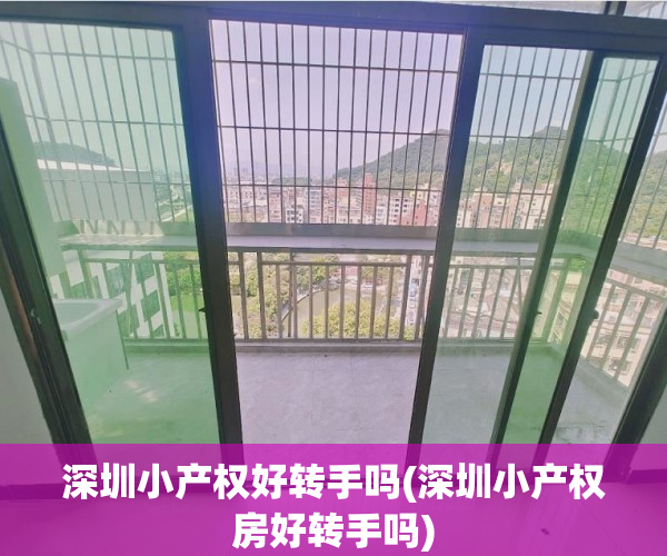 深圳小产权好转手吗(深圳小产权房好转手吗)