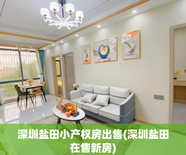 深圳盐田小产权房出售(深圳盐田在售新房) 深圳盐田小产权房出售(深圳盐田在售新房)