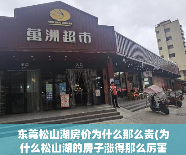东莞松山湖房价为什么那么贵(为什么松山湖的房子涨得那么厉害一2019) 东莞松山湖房价为什么那么贵(为什么松山湖的房子涨得那么厉害一2019)