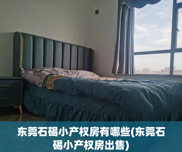 东莞石碣小产权房有哪些(东莞石碣小产权房出售) 东莞石碣小产权房有哪些(东莞石碣小产权房出售)