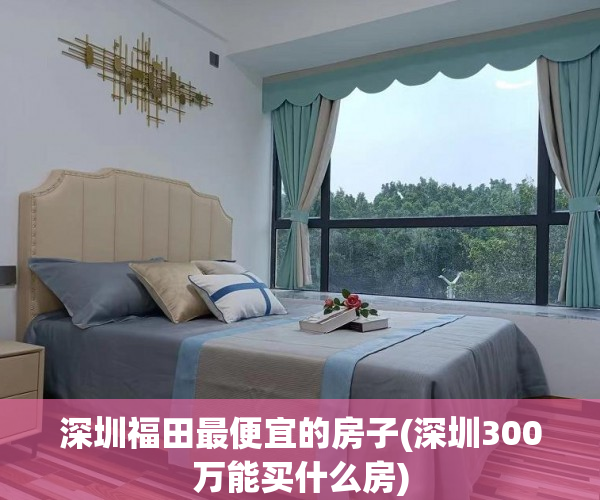 深圳福田最便宜的房子(深圳300万能买什么房)