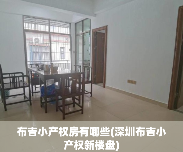 布吉小产权房有哪些(深圳布吉小产权新楼盘)