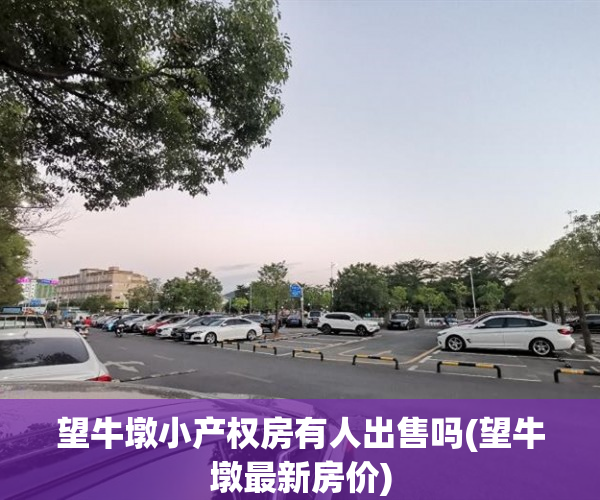 望牛墩小产权房有人出售吗(望牛墩最新房价) 望牛墩小产权房有人出售吗(望牛墩最新房价)