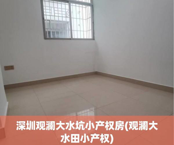 深圳观澜大水坑小产权房(观澜大水田小产权)