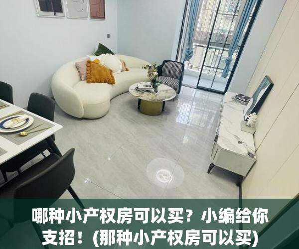 哪种小产权房可以买？小编给你支招！(那种小产权房可以买)