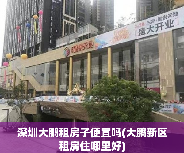 深圳大鹏租房子便宜吗(大鹏新区租房住哪里好)
