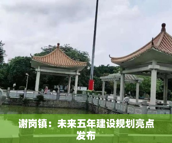 谢岗镇：未来五年建设规划亮点发布