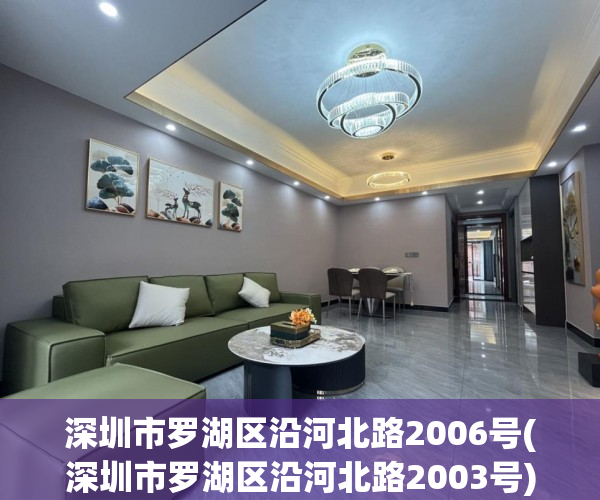 深圳市罗湖区沿河北路2006号(深圳市罗湖区沿河北路2003号) 深圳市罗湖区沿河北路2006号(深圳市罗湖区沿河北路2003号)