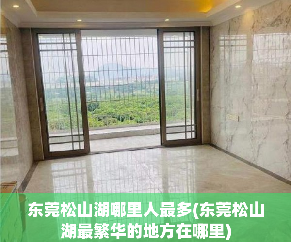 东莞松山湖哪里人最多(东莞松山湖最繁华的地方在哪里)