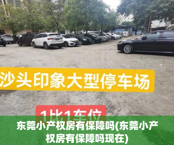 东莞小产权房有保障吗(东莞小产权房有保障吗现在)