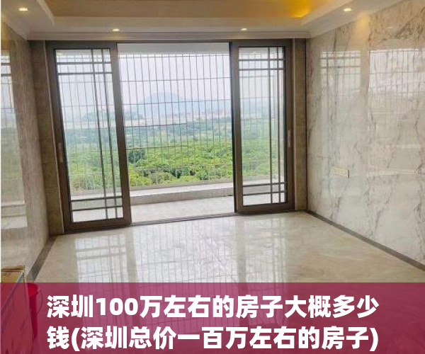 深圳100万左右的房子大概多少钱(深圳总价一百万左右的房子)